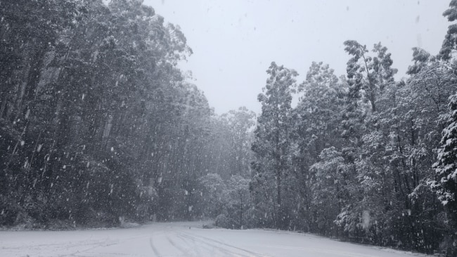 'Really healthy': Welcoming snow upwards of 30cm for Australian ski fields aligns in time for school holiday goers