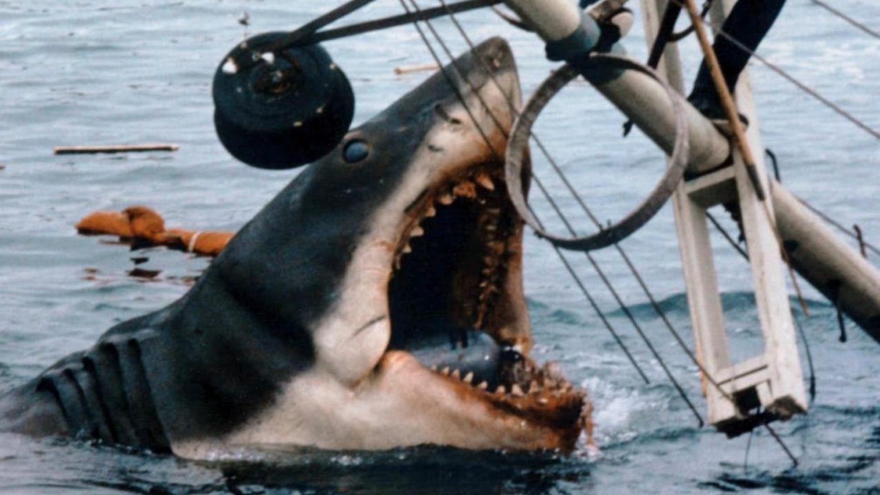 What to watch this week: Stephen King adaptation The Institute; and top-notch doco as Jaws turns 50