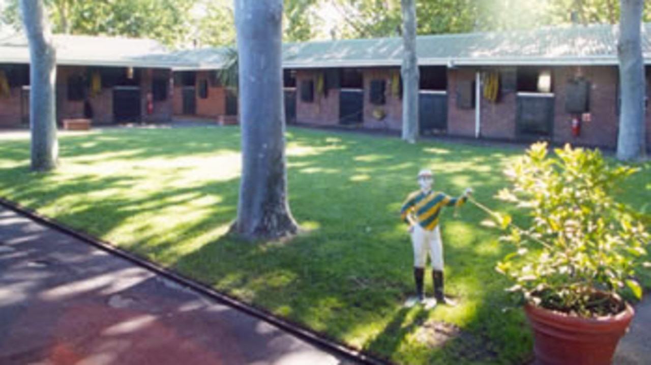 At The Track: Decision on Leilani Lodge trainer delayed