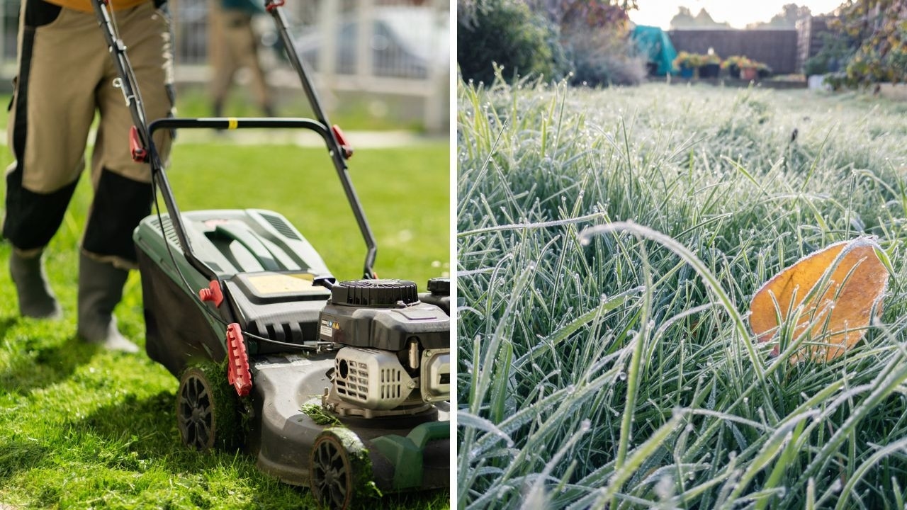 Why your lawn stops growing in winter
