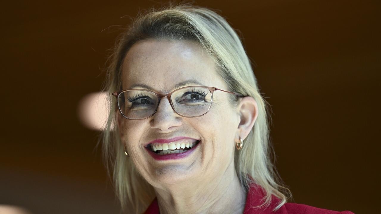 Sussan Ley may be a better option for Liberal leadership, says former Labor campaign strategist