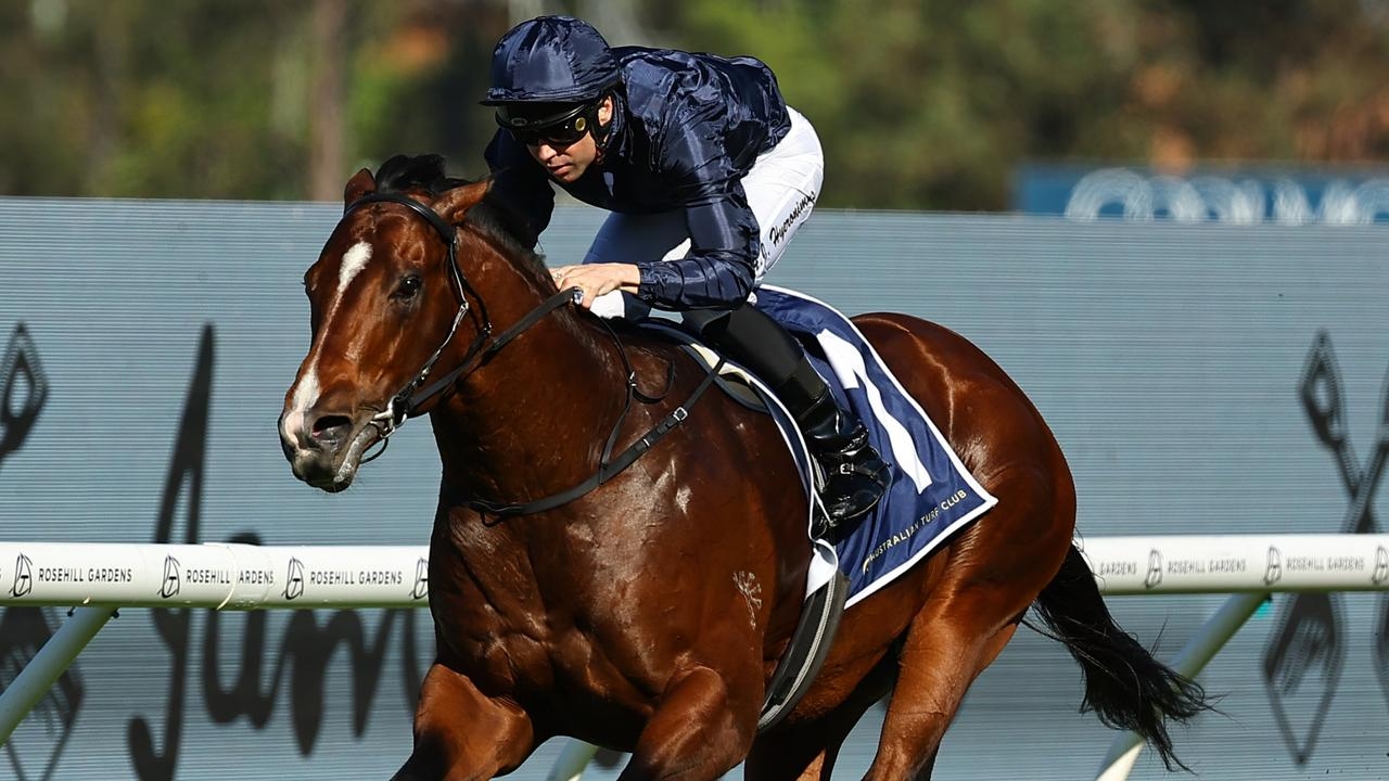 Boom colt Storm Boy retired after European flops
