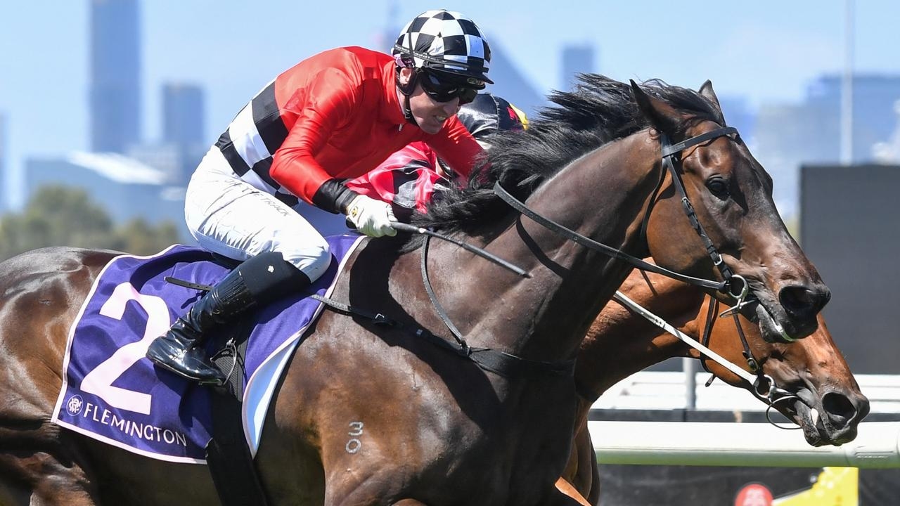 Robert Hickmott preparing challenging campaign for Melbourne Cup prospect Revelare