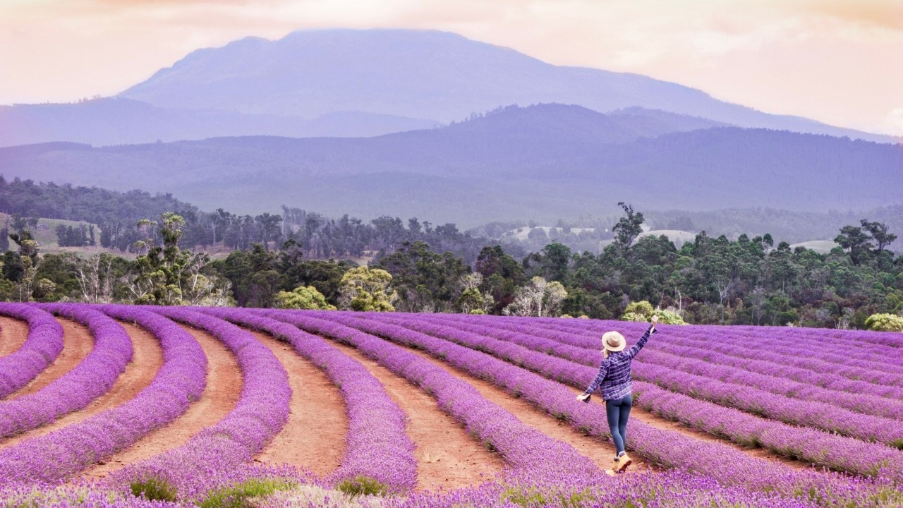 I took a coach tour of Tasmania, now I see why it's a growing trend
