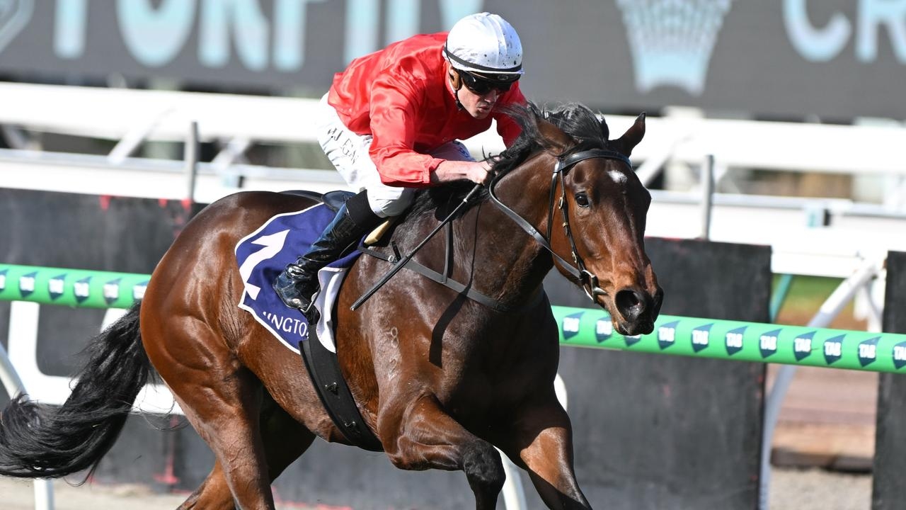 Buccleuch could be saved for autumn after capping winter campaign with dominant Taj Rossi Final success