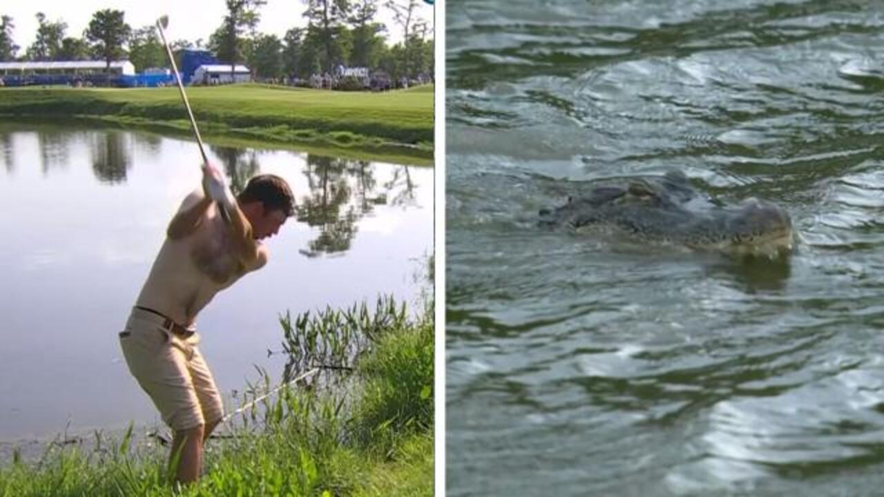 Phillips clears gator with NO SHIRT shot
