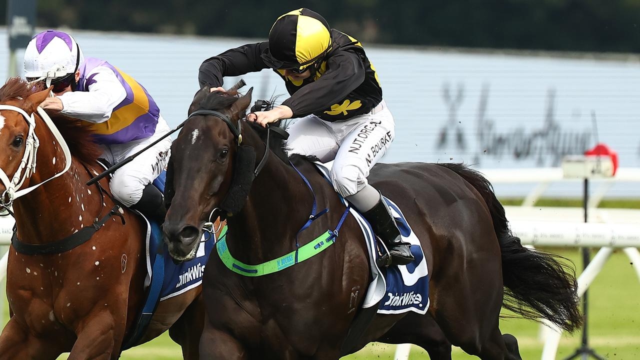 Trainer John Sargent aiming to again win Randwick staying feature with Casual Connection