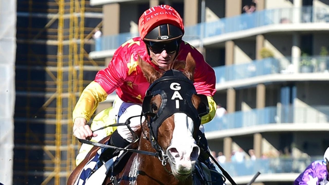 Rosehill Inside Mail: Tim Clark mount Assailant ‘ready to run his best race this preparation'