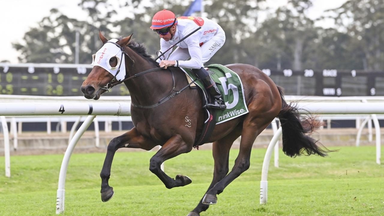 Warwick Farm preview: Dynamic Syndications aim to cap a stellar season on a victorious note in final metropolitan meeting