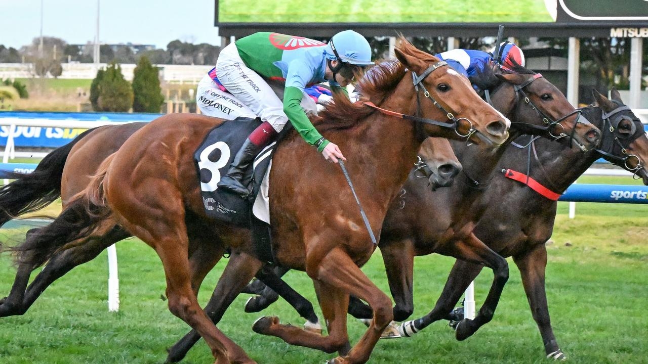 Yellow Sam charges home to win at Caulfield and earn crack at Group 3 Bletchingly Stakes