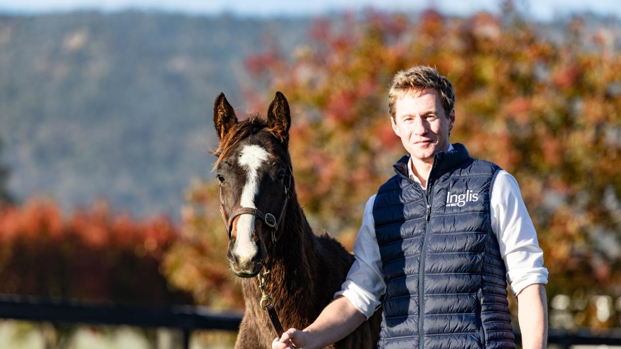 Winx's first colt to be sold at Inglis Australian Easter Yearling Sale in 2026