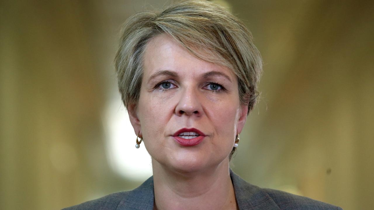 Murray Watt will not find it hard to ‘outshine' Tanya Plibersek