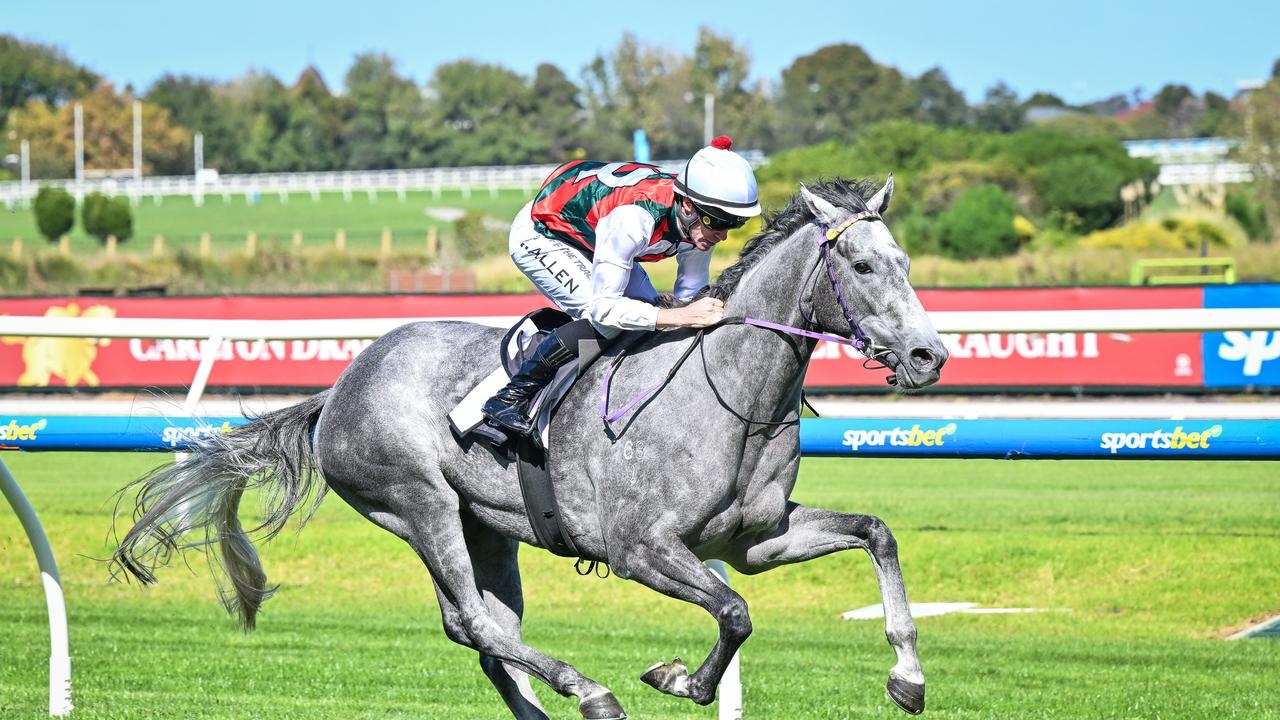 South Australian Derby runner-by-runner form analysis and tips