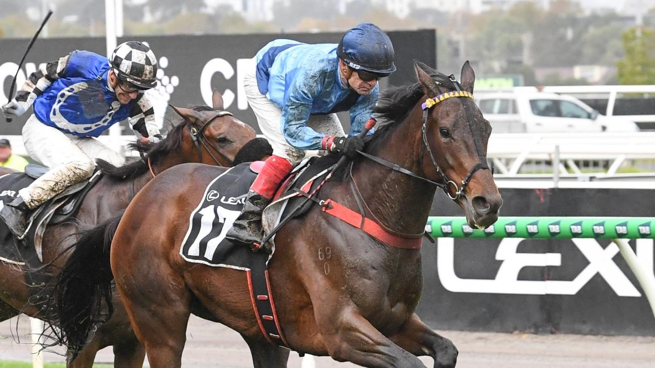 Qualified runner Basilinna starts build up to 2025 Melbourne Cup