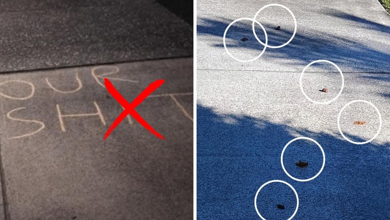‘Entitled': Damning photo shows what's wrong with dog owners