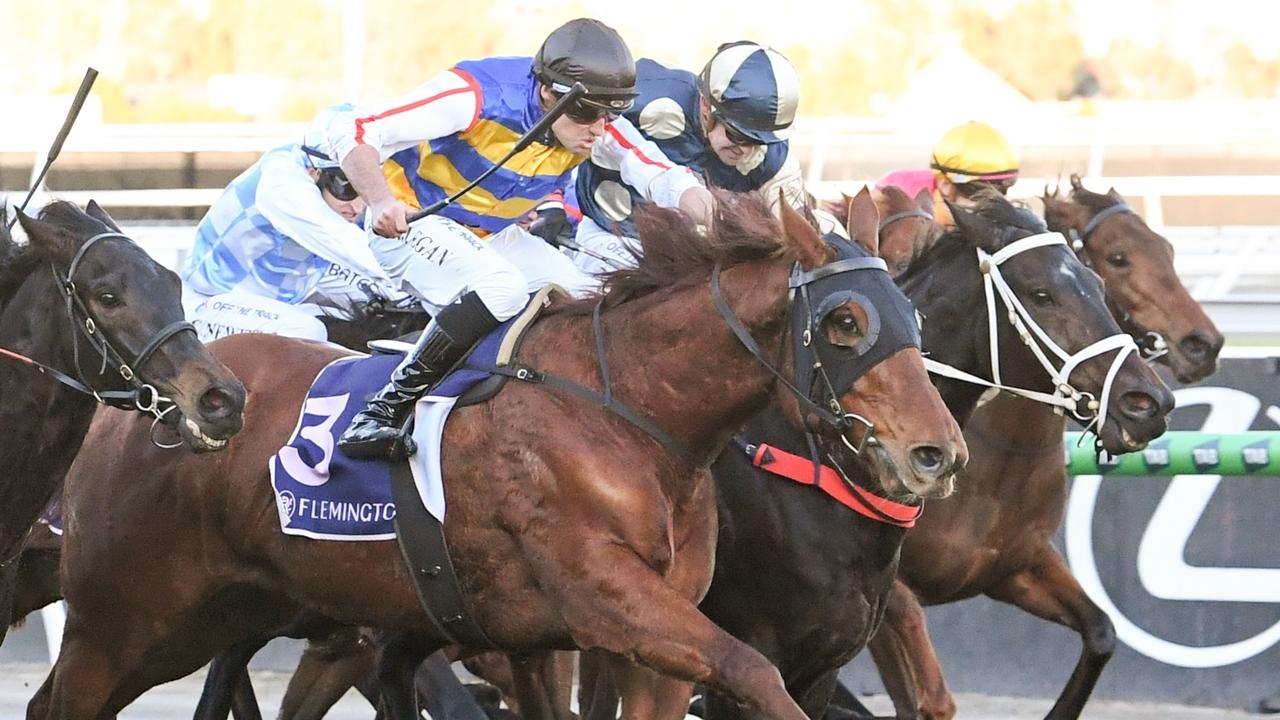 Winter warrior Jimmy The Bear delivers again in Winter Championship Final at Flemington