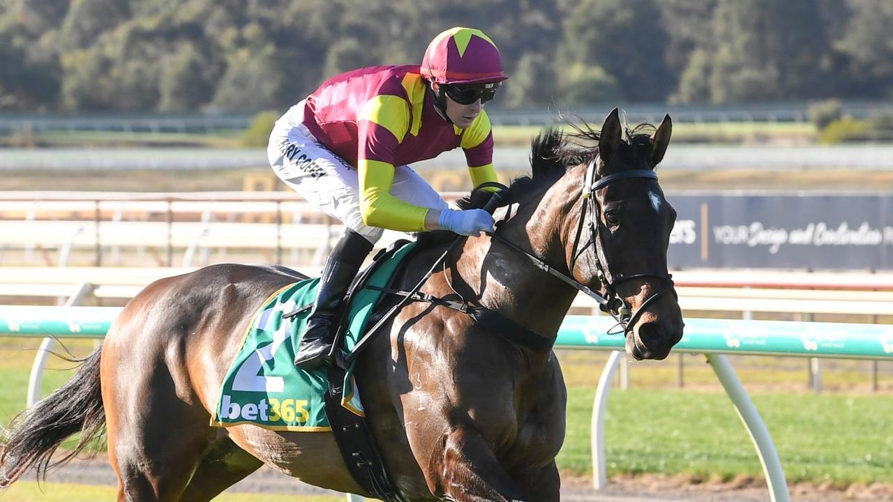 Unbeaten filly Fieldelo on trial for stakes target in Flemington test