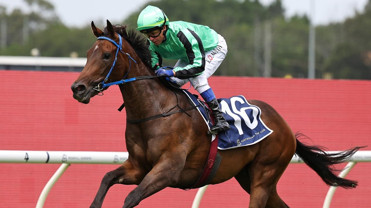 2025 Denise's Joy Stakes: David Payne saddles up Shohisha