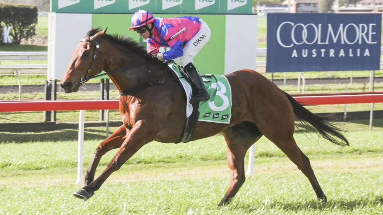 Tamworth previews: Bowen's Zakor set for success