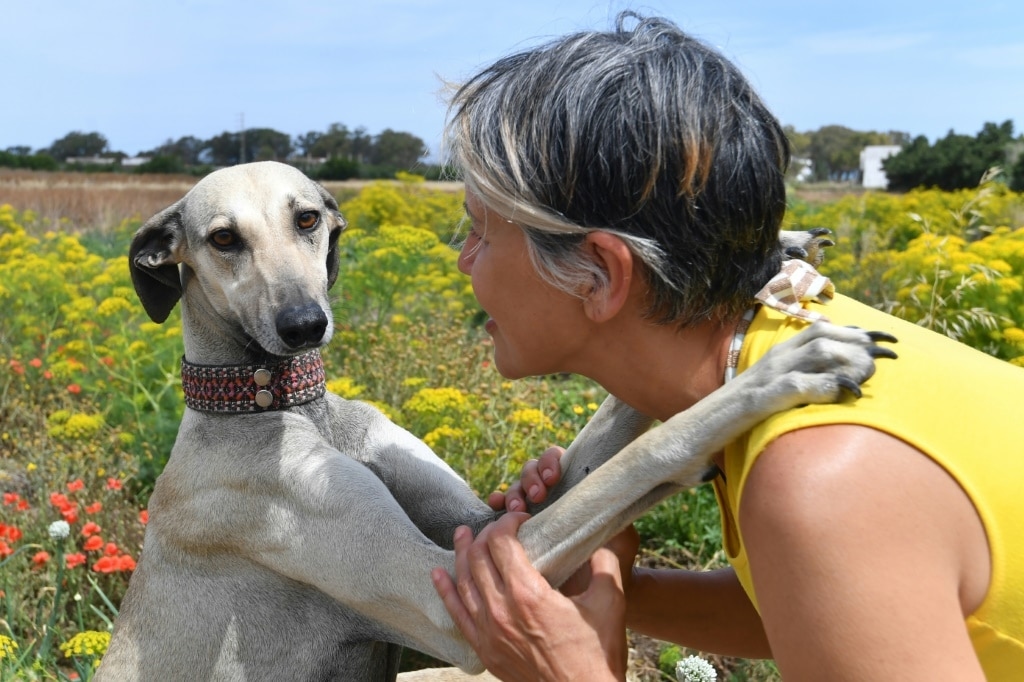 Dying breed: Tunisian dog lovers push to save age-old desert hound