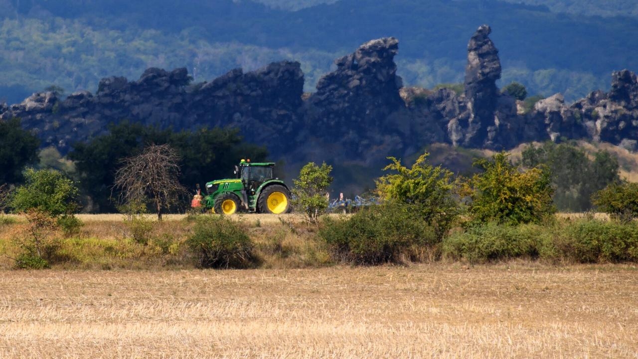 ‘Concerning': Victorian renewables project will ‘destroy' prime agricultural land