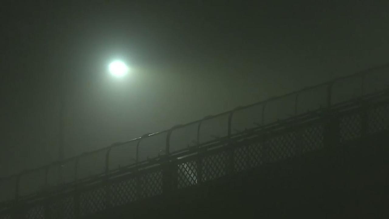 Thick fog keeps Sydney ferries docked, delays commuters