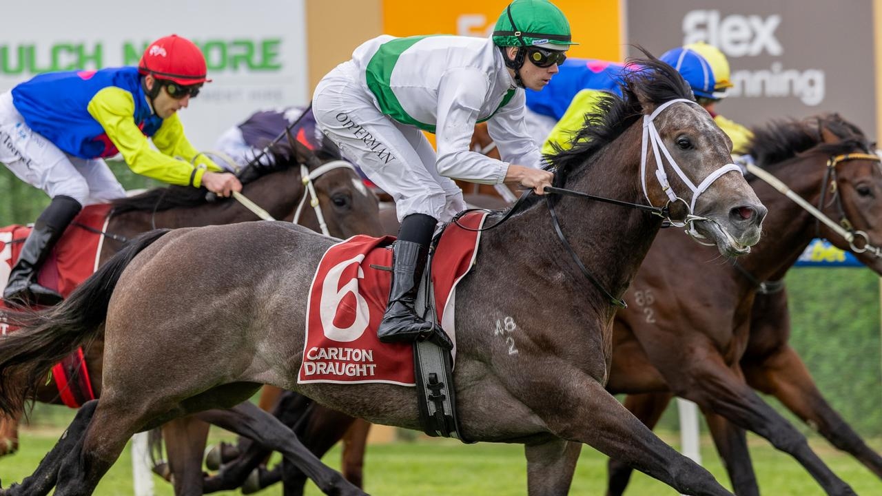 Impressive colt stands up for Phillip Stokes after favourite scratched at Murray Bridge
