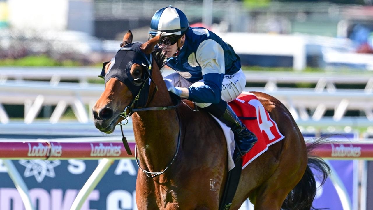 Pier dominates in Wayne Wilson to highlight Stradbroke Handicap missed opportunity