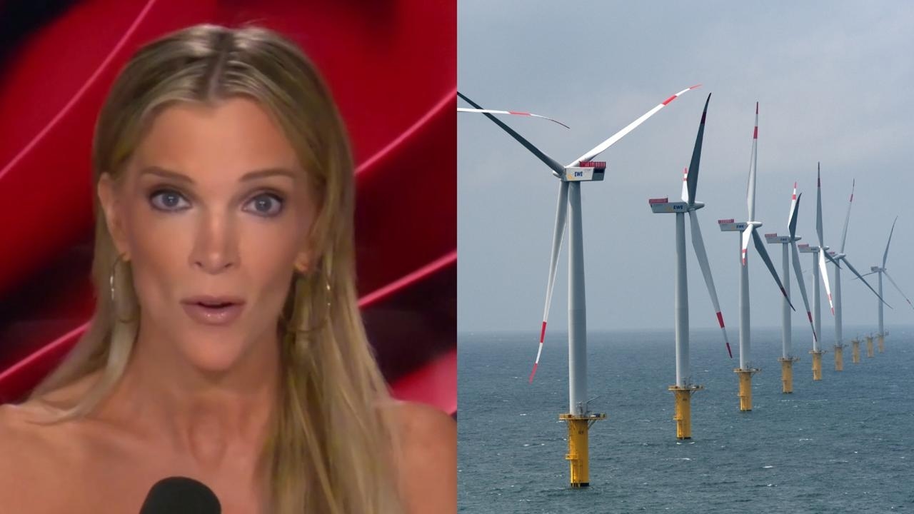 ‘Loser industries': Megyn Kelly rips into ‘ugly' wind turbines ruining US coastlines