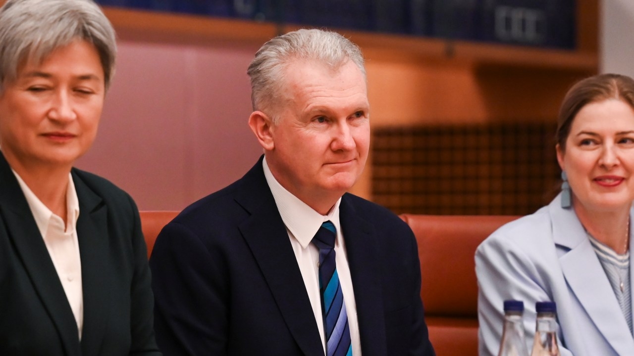 Home Affairs Minister Tony Burke warns of threat to democracy after terror plot against NSW Labor MP