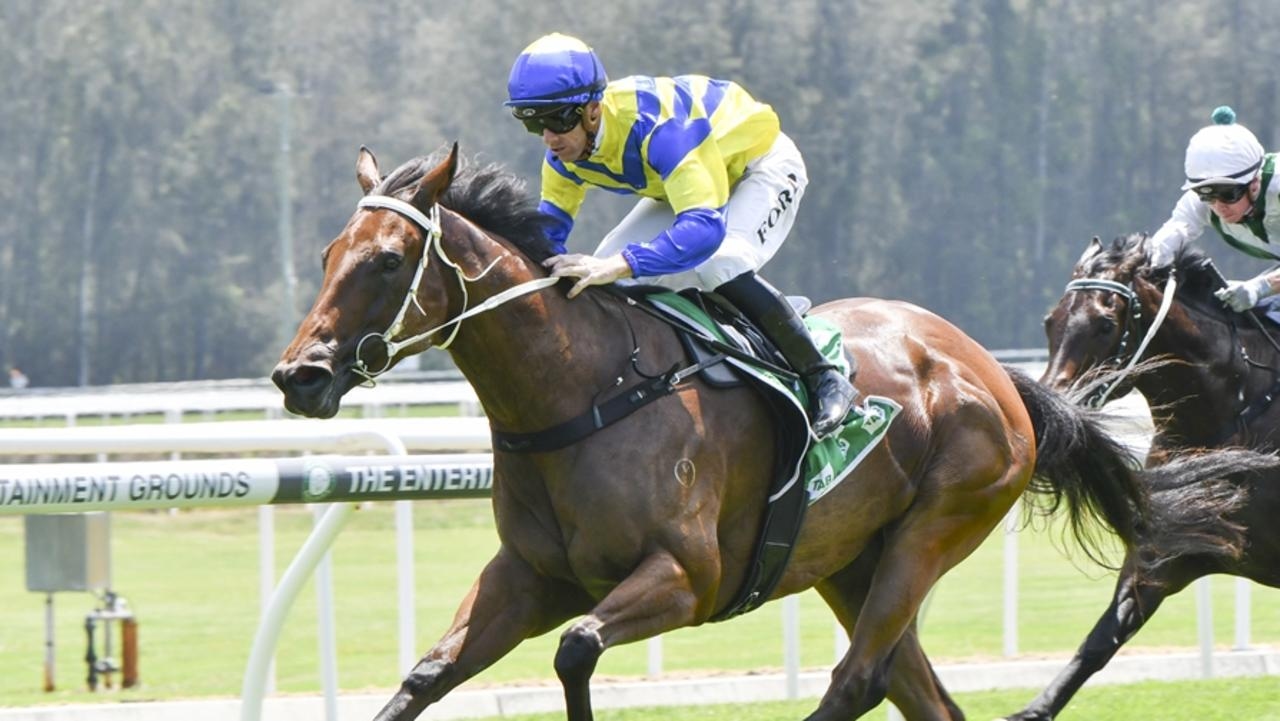 Trainer Blake Ryan rapt with ‘honest' mare Lady Extreme ahead of Rosehill Gardens test