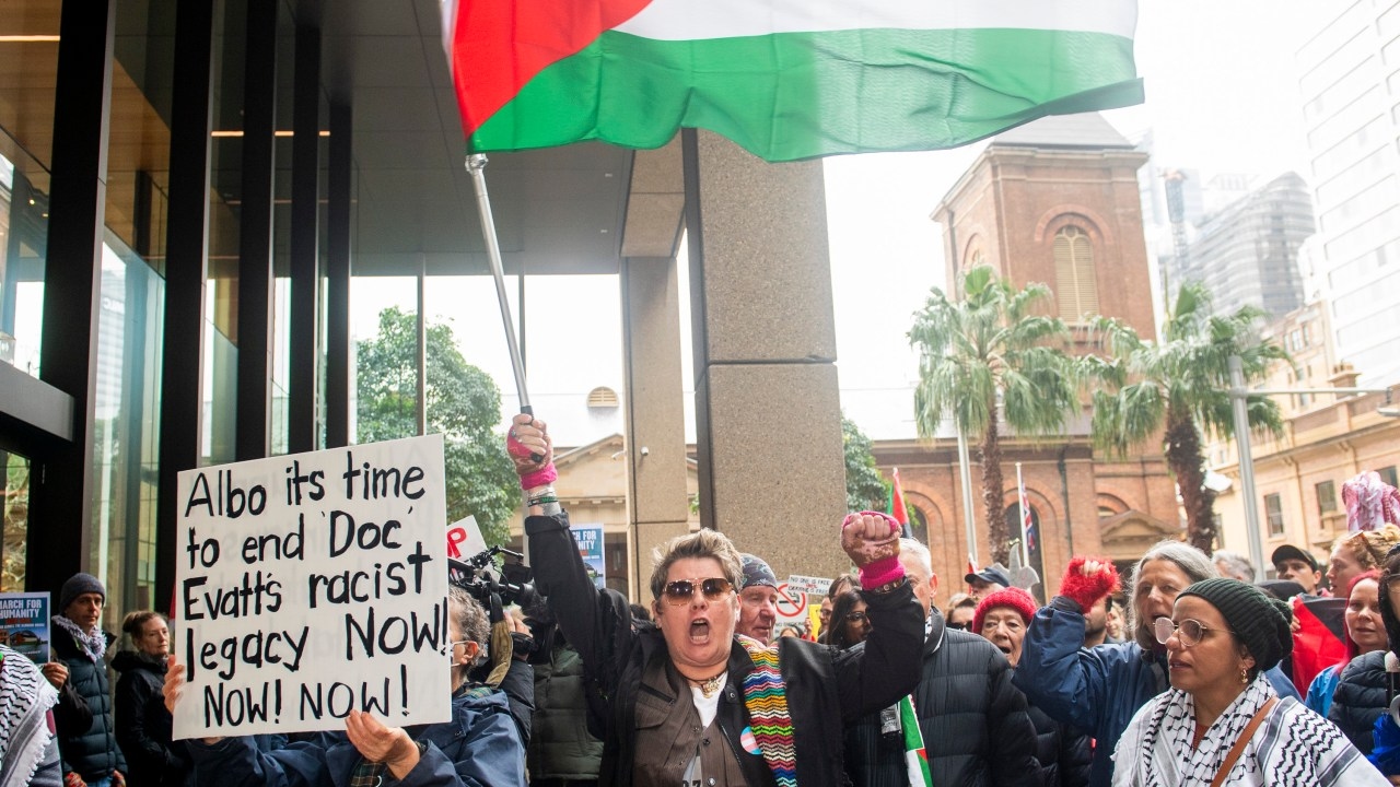 Sky News Contributor Louise Roberts says a pro Palestinian protest over the Sydney Harbour Bridge is madess