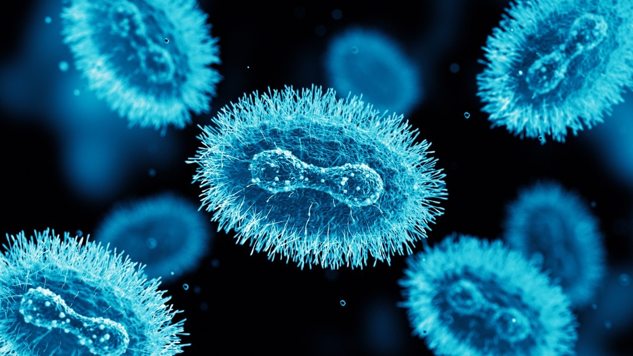 Urgent alert issued after second ever Australian case of Clade 1 strain of monkeypox detected, Queensland Health confirm