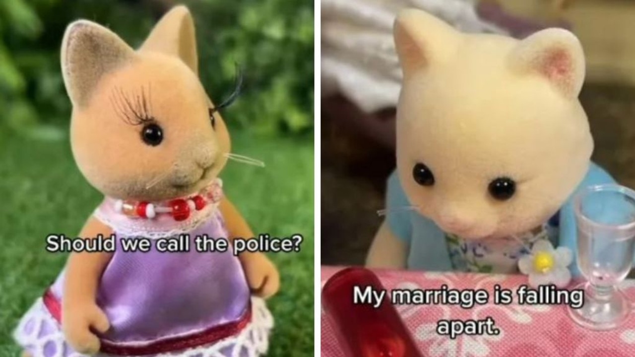Doll maker sues popular TikTok account for ‘injury' to reputation
