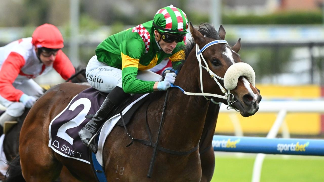 Peter Moody says immature filly Ole Dancer ‘has the quality' to race in spring after her return win at Caulfield