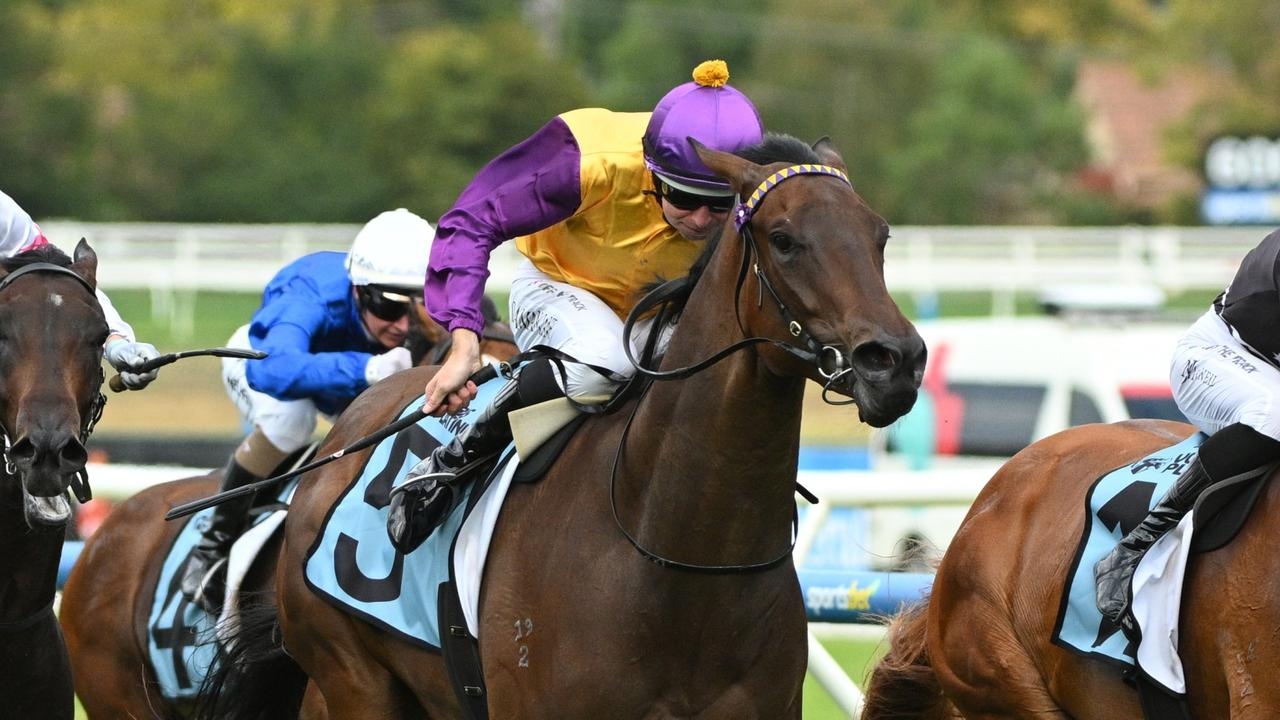 Unbeaten youngster McGaw ‘bigger and stronger' for spring three-year-old campaign