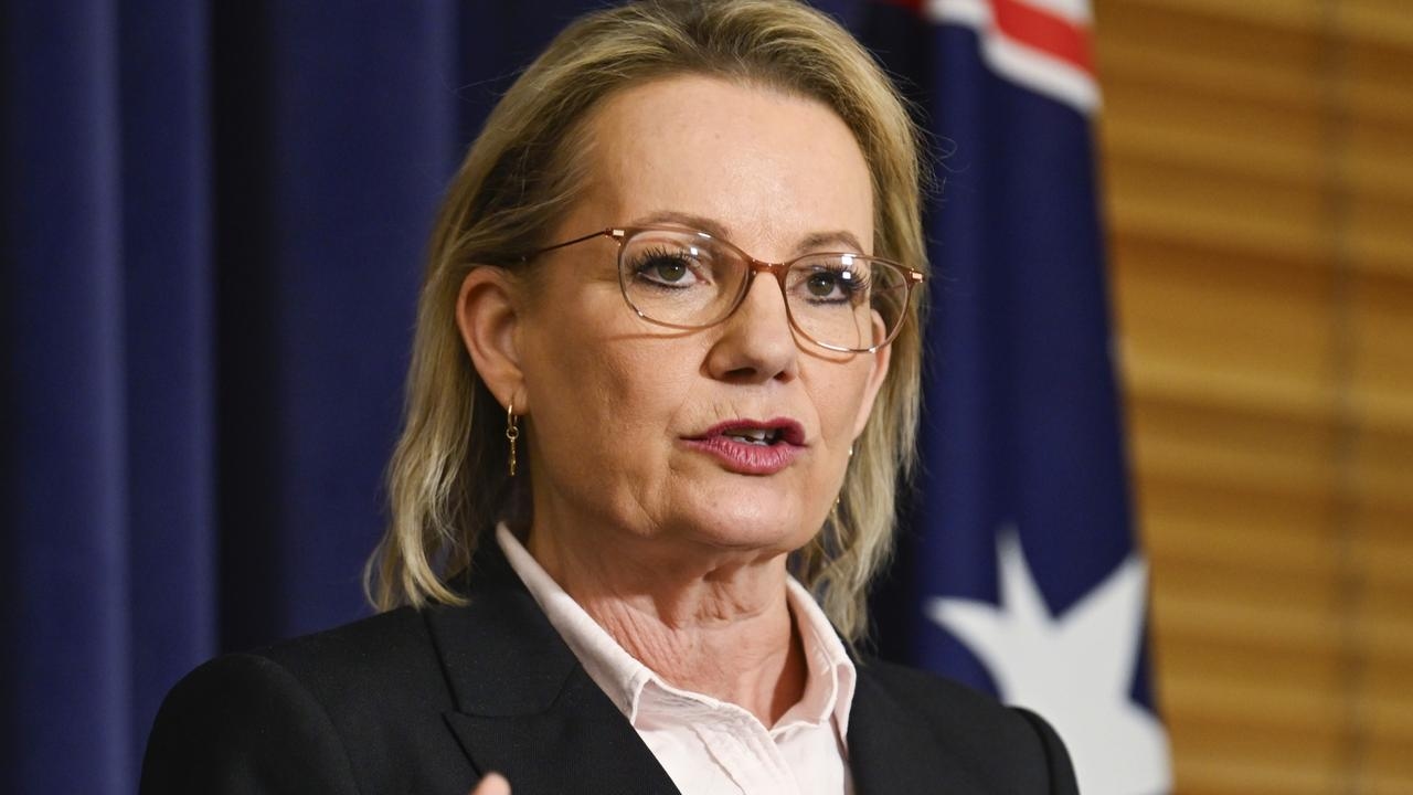 Sussan Ley claims Australians will pay more tax if ‘Jim Chalmers gets his way'