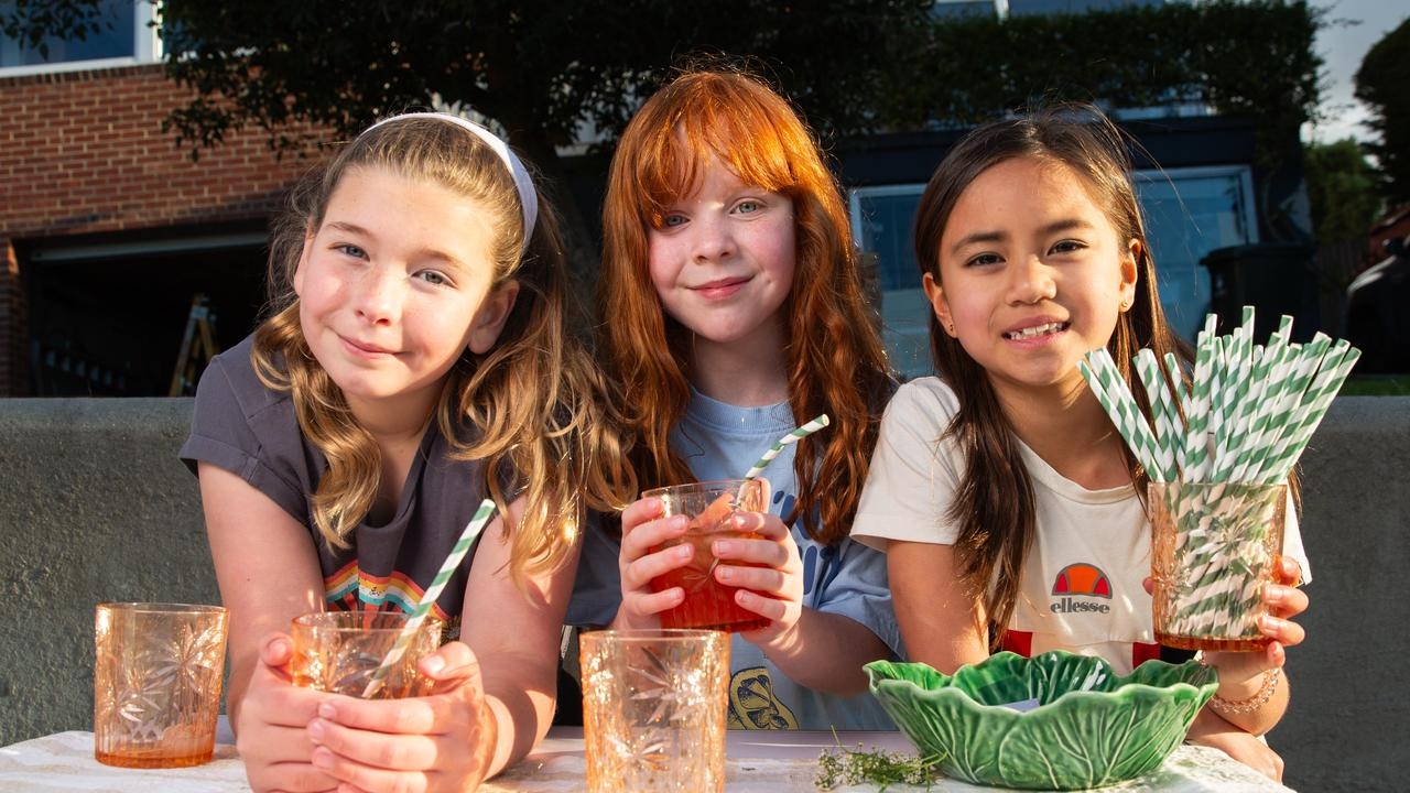 Young trio selling fruit punch to raise funds for Dogs' Homes of Tasmania