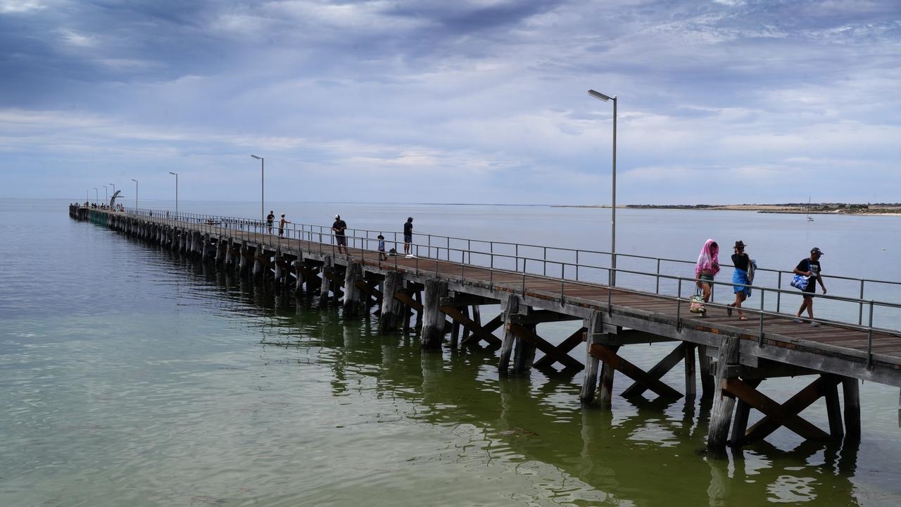 Search under way for swimmers missing from active shark area