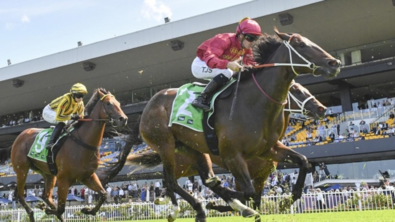 Early spring carnival contenders in action at Rosehill barrier trials