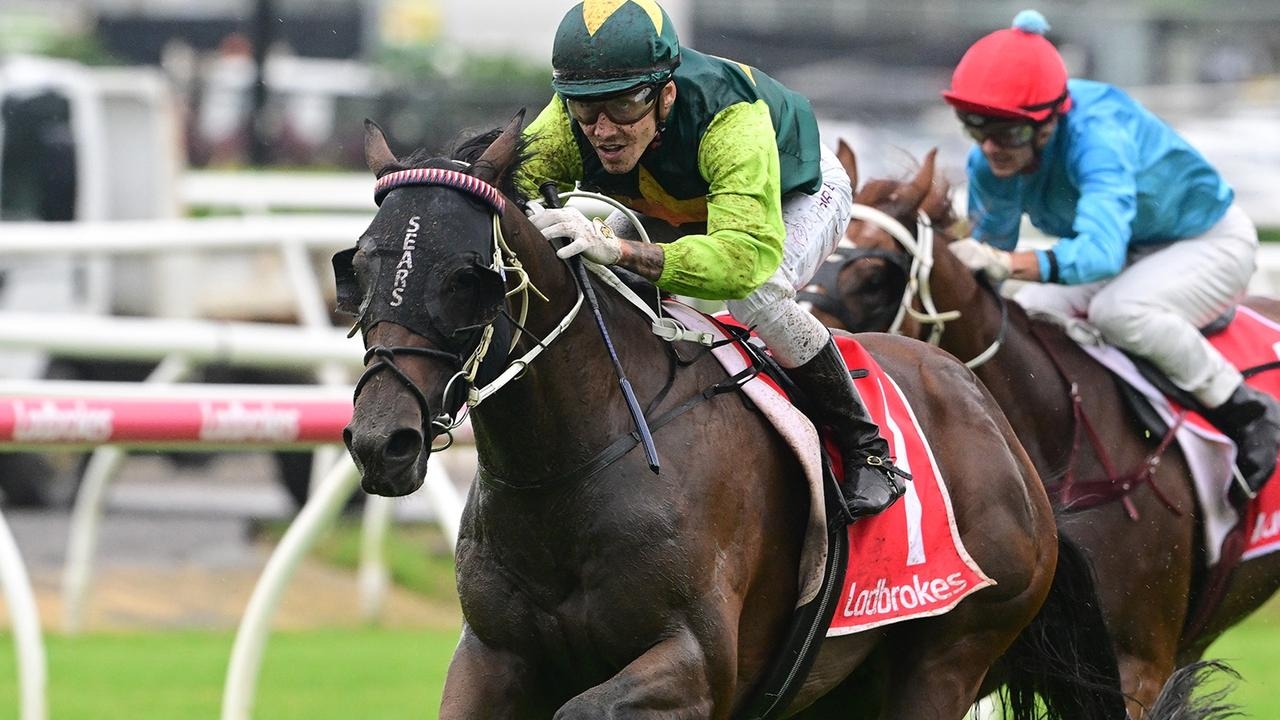 Beau Dazzler takes unorthodox path to Winx Guineas at Sunshine Coast