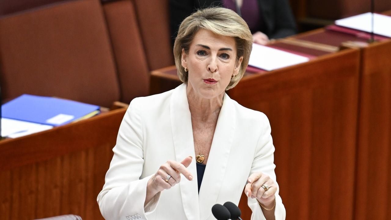 Shadow Foreign Minister makes fiery speech to Penny Wong in Senate