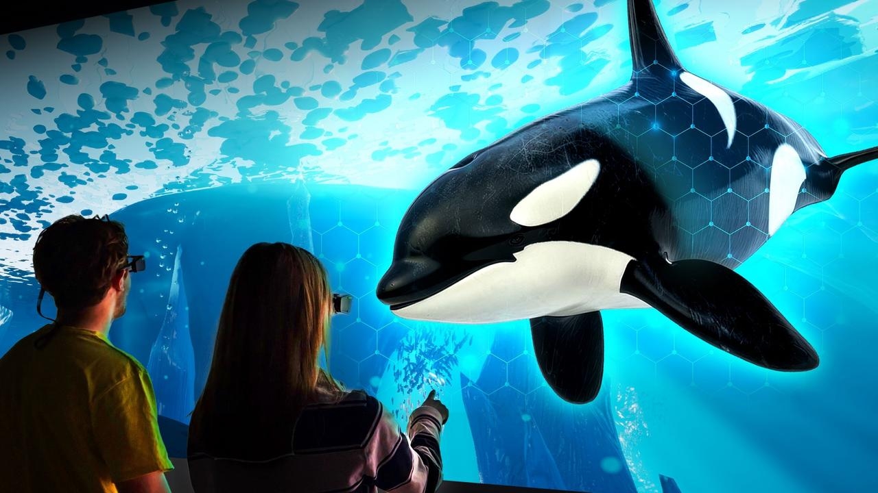 Melbourne's first Hologram Zoo opening in Ringwood Square