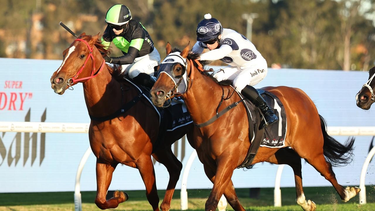 Robusto too tough in Winter Challenge as Bjorn Baker eyes Group 1 target