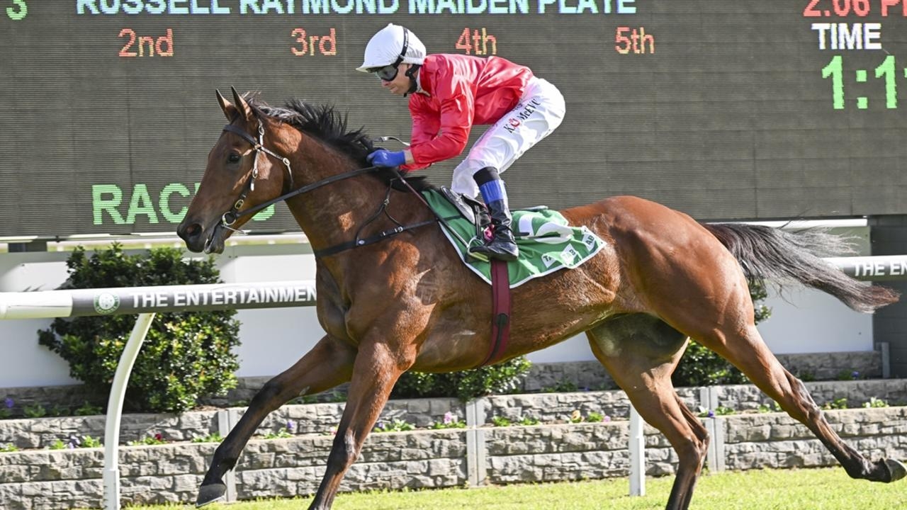 Canterbury preview: Signor Tortoni to add to long partnership
