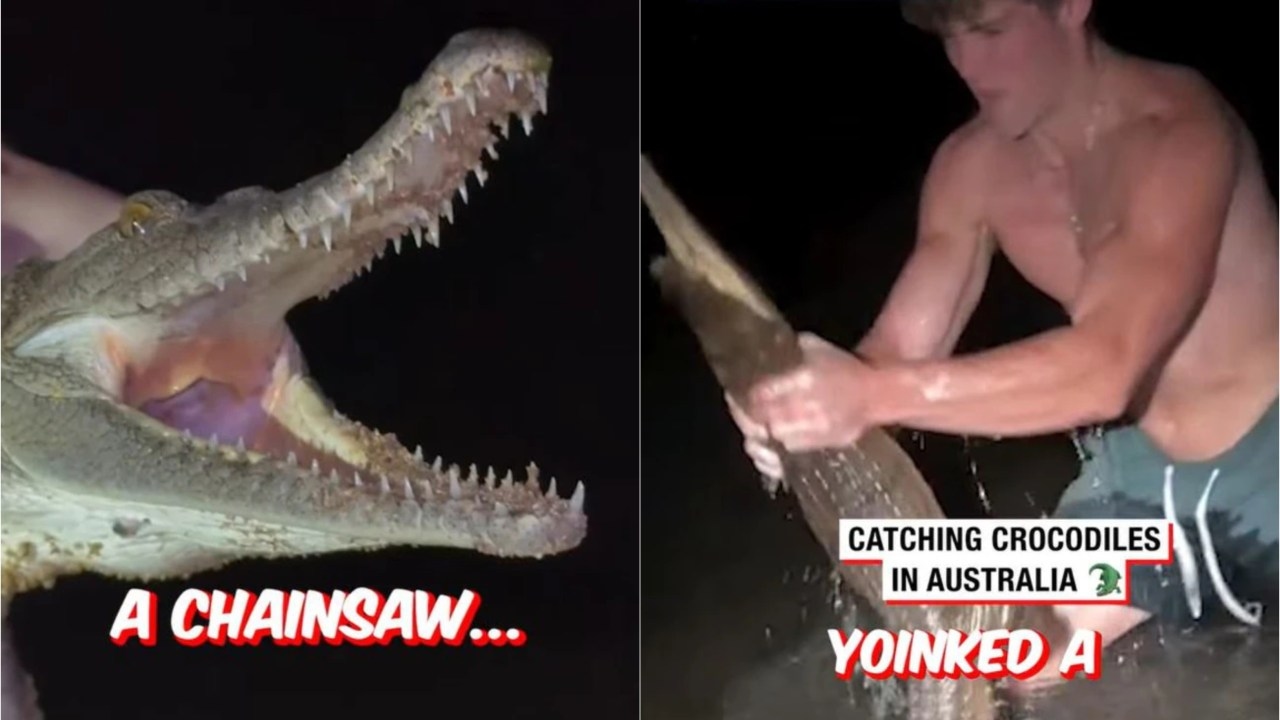 'How stupid are you': Canadian influencer slammed after catching baby crocodile in Australia for distressing social media stunt