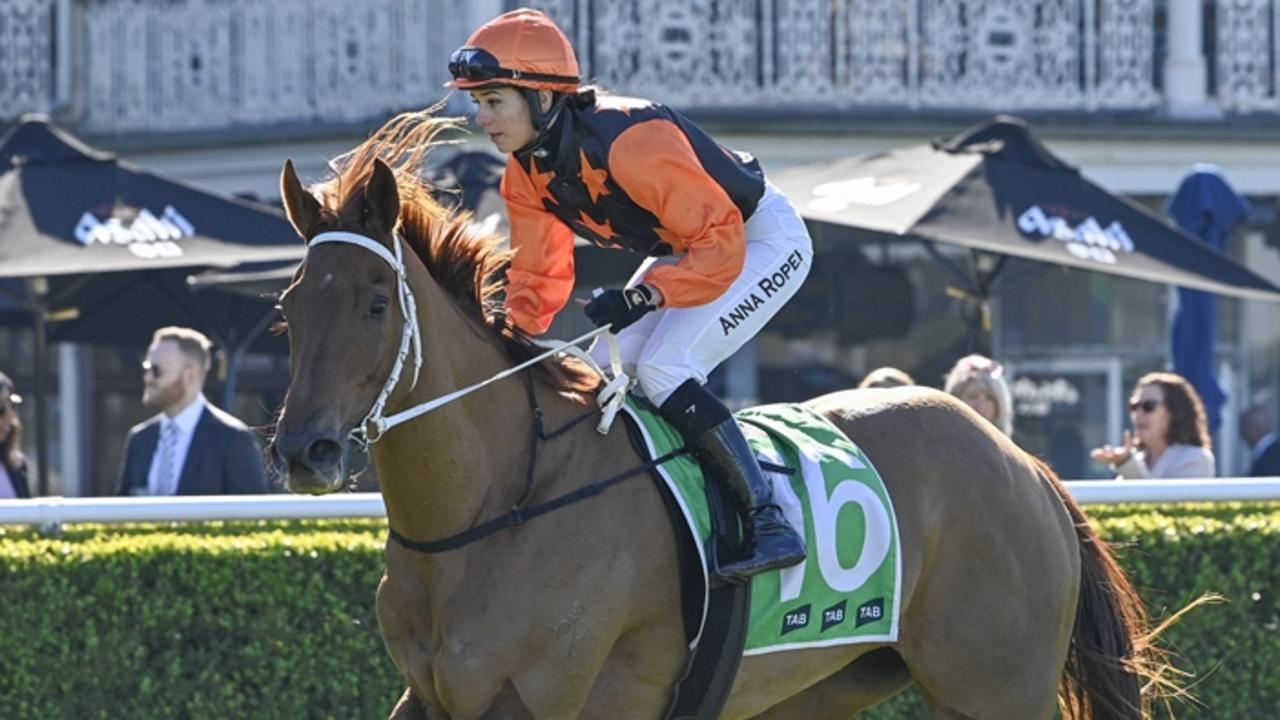 ‘He is up to that level': Robert Agnew has Country Championships aspirations for Show ‘Em Howl