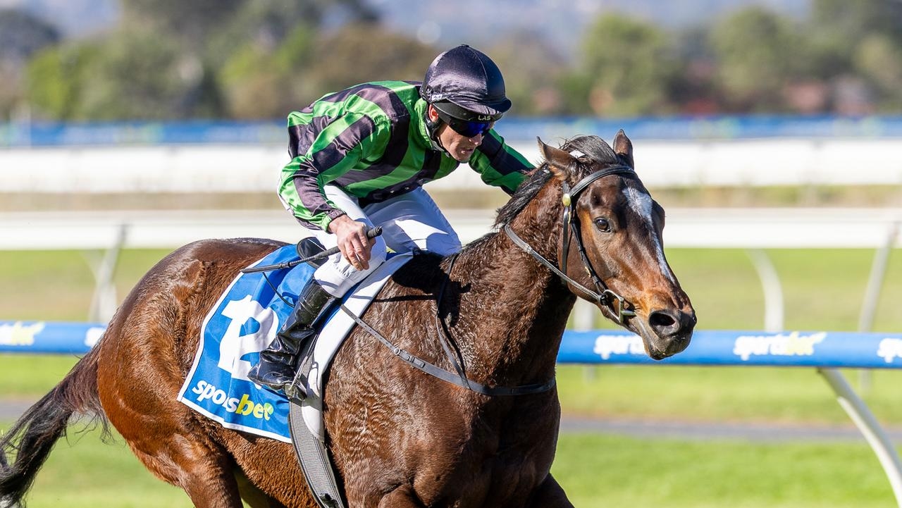 Promising filly Tropical House won't be overlooked again by punters at Murray Bridge