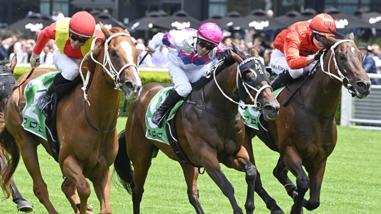 Sammy Conquers All aims for Sydney success with a strategic inside barrier
