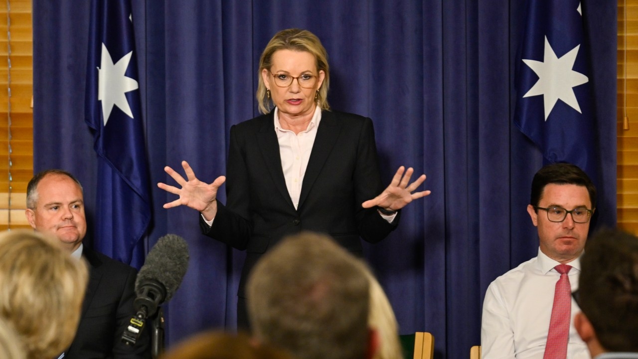 'Every step of the way': Opposition leader Sussan Ley pledges to 'fight' Labor over tax policy